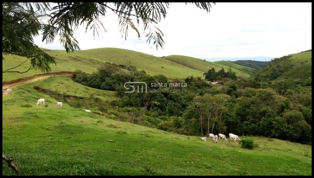 Fazenda à venda com 5 quartos, 71m² - Foto 8