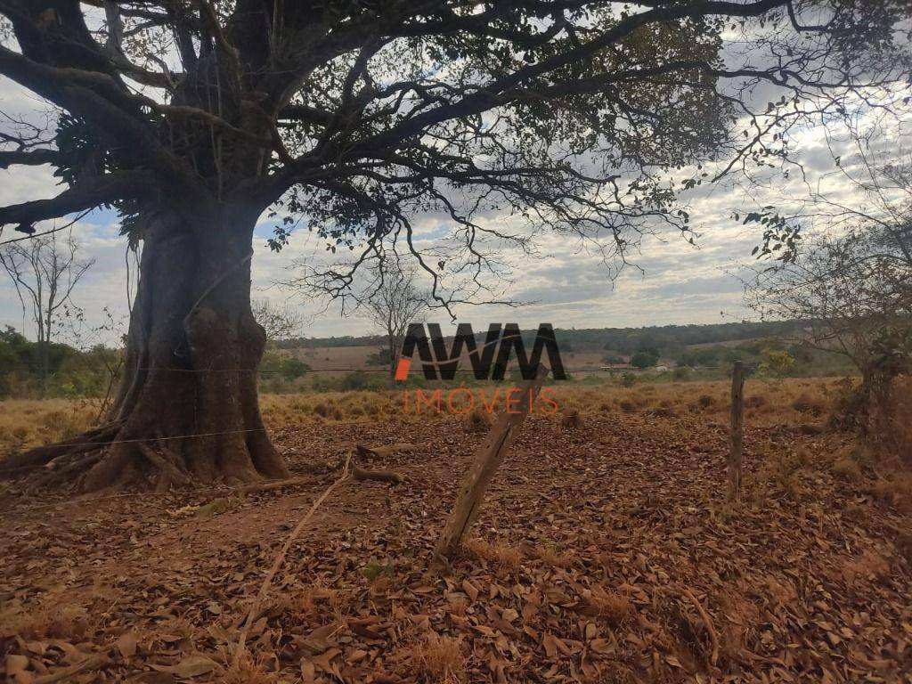 Fazenda-Sítio-Chácara, 213 hectares - Foto 9