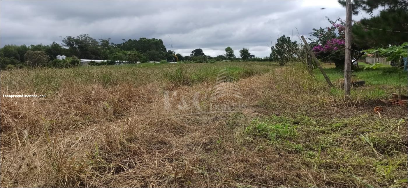 Terreno à venda, 64000m² - Foto 19