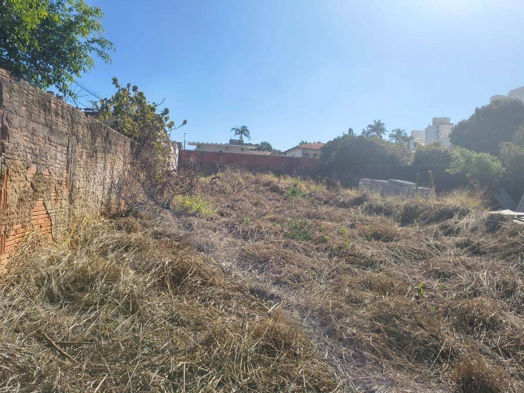 Terreno à venda e aluguel, 500M2 - Foto 2