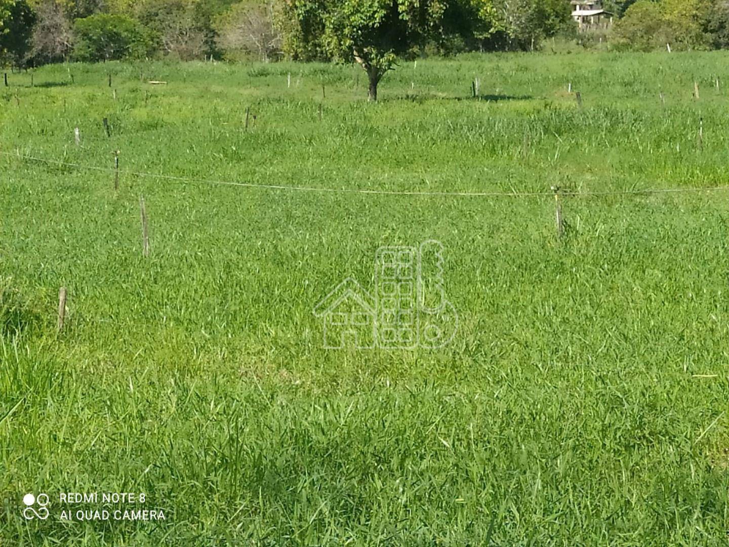 Fazenda-Sítio-Chácara, 38 hectares - Foto 3