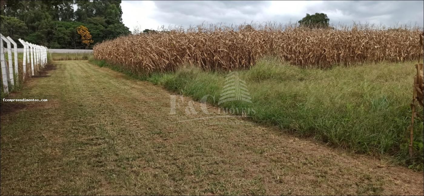 Terreno à venda, 64000m² - Foto 9