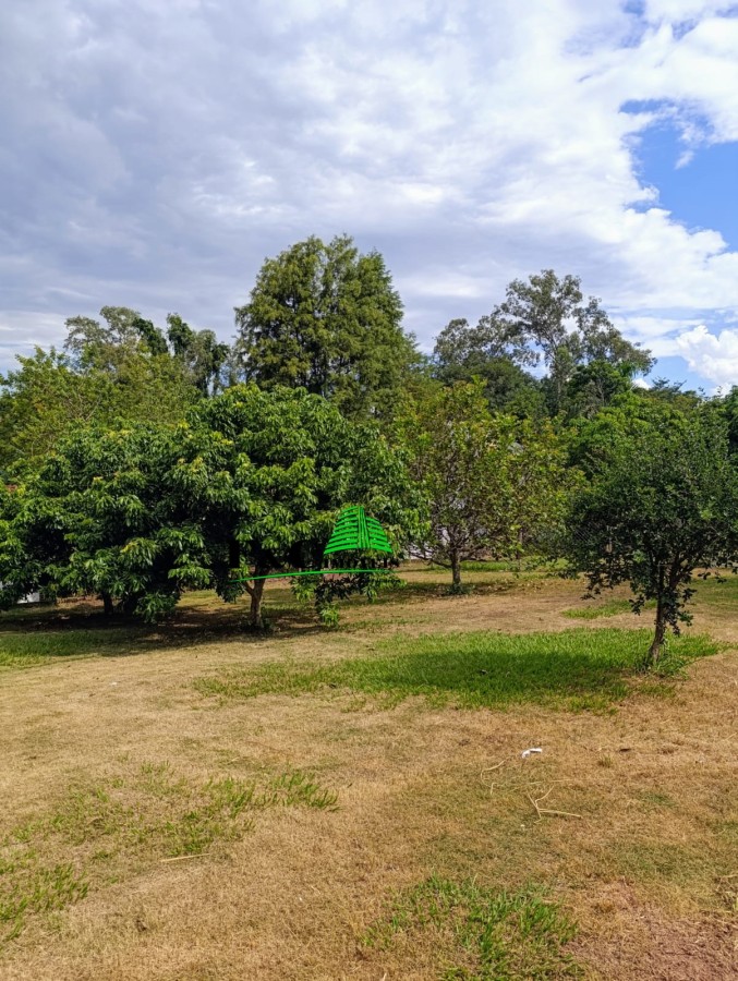 Chácara à venda com 4 quartos, 2000m² - Foto 22