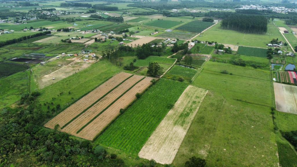 Fazenda à venda com 1 quarto, 90m² - Foto 4