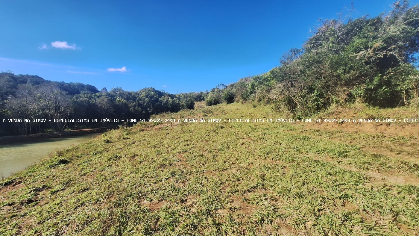 Sítio à venda com 4 quartos, 46500m² - Foto 24