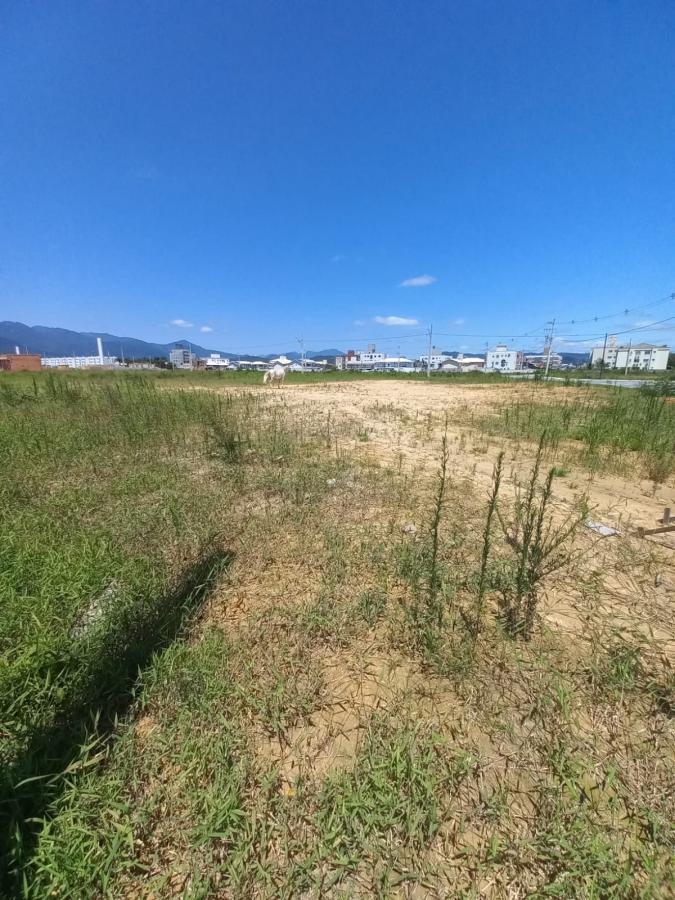 Terreno à venda, 354m² - Foto 6