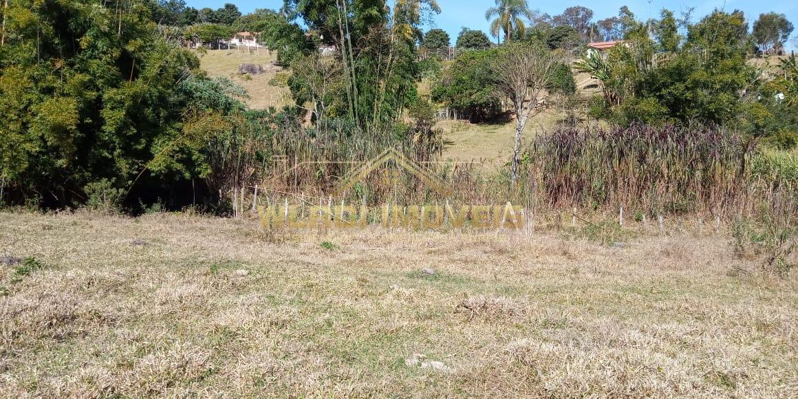 Fazenda à venda com 4 quartos, 45600m² - Foto 27