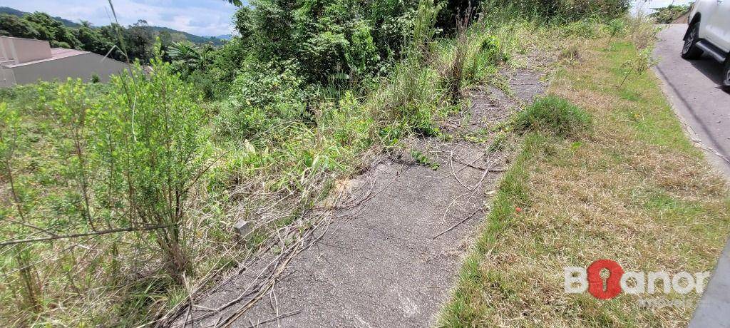 Loteamento e Condomínio à venda, 576M2 - Foto 4