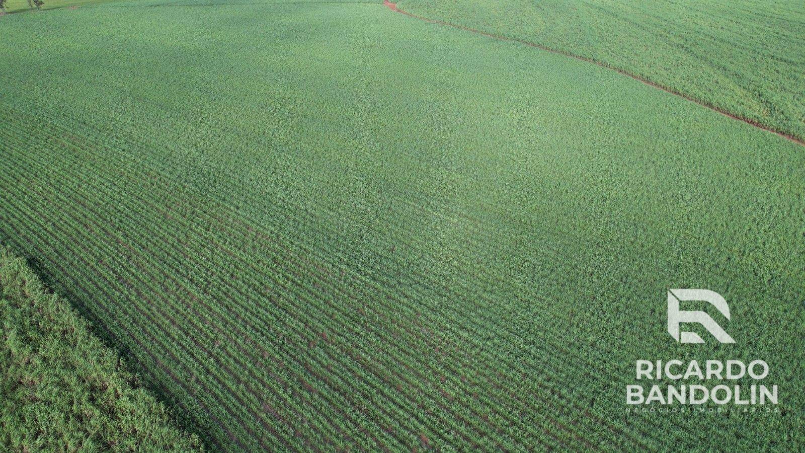 Fazenda à venda, 1m² - Foto 8