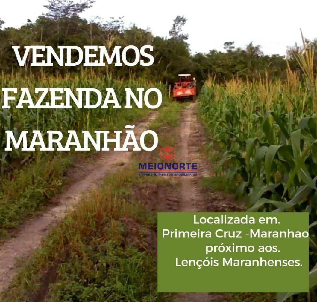 Fazenda à venda com 1 quarto, 2400000M2 - Foto 13