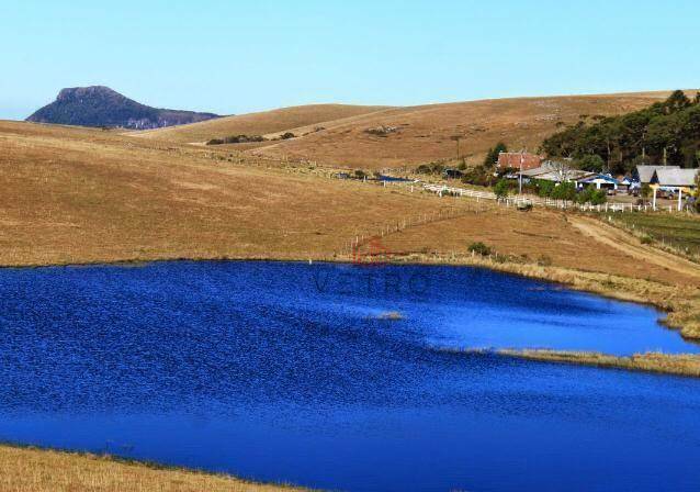 Sítio à venda com 10 quartos, 1000000M2 - Foto 8
