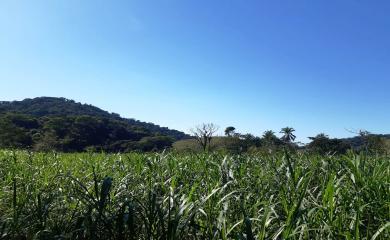 Fazenda à venda com 2 quartos, 270000m² - Foto 4