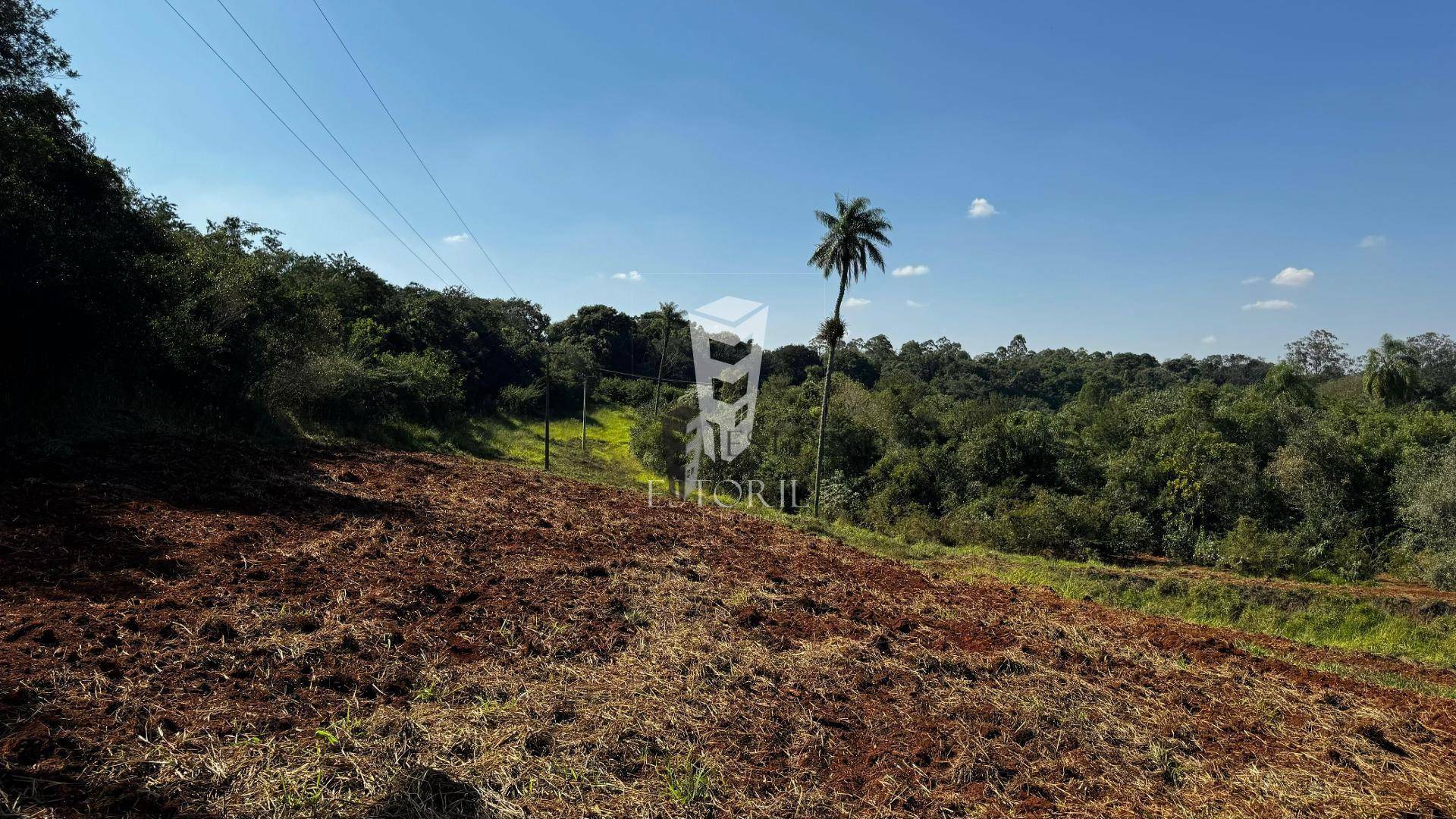 Sítio à venda com 1 quarto, 24000M2 - Foto 13