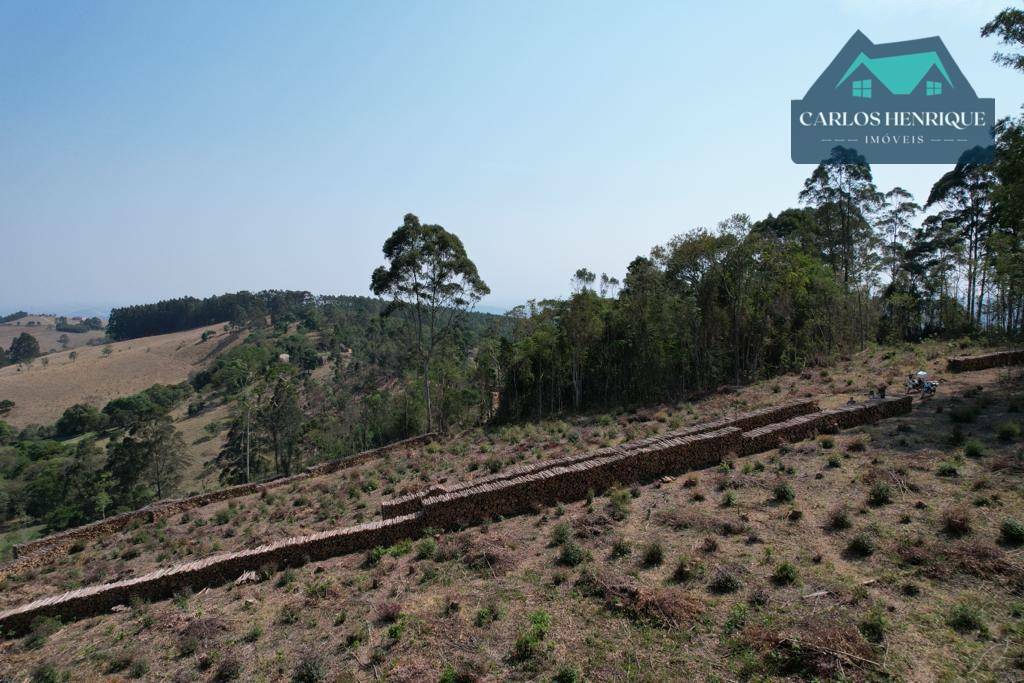 Terreno à venda, 32000M2 - Foto 25