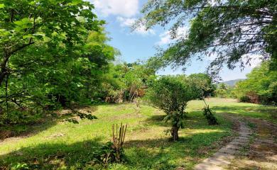 Fazenda à venda com 3 quartos, 11000m² - Foto 12