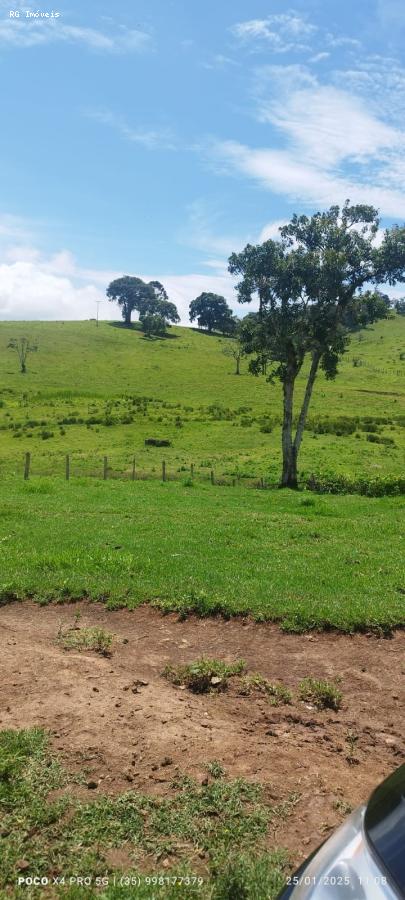 Sítio à venda com 2 quartos, 726000m² - Foto 13