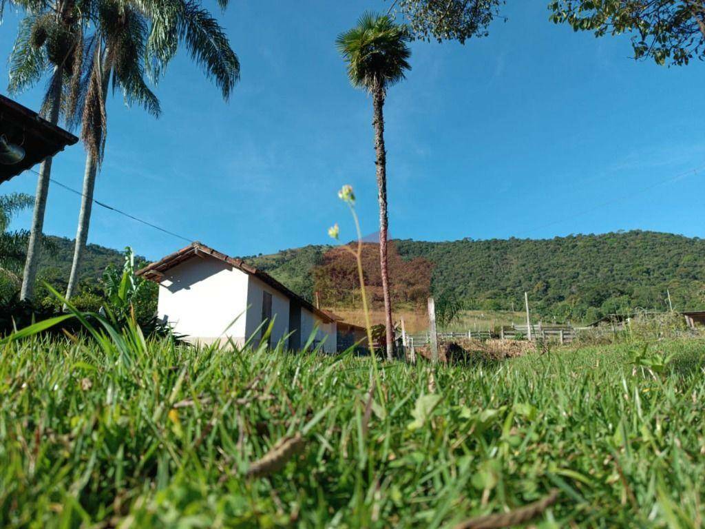 Sítio, 10 hectares - Foto 69