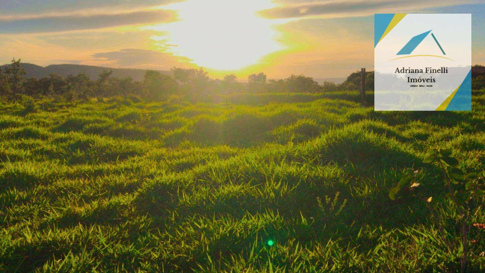 Fazenda à venda, 2270000M2 - Foto 24