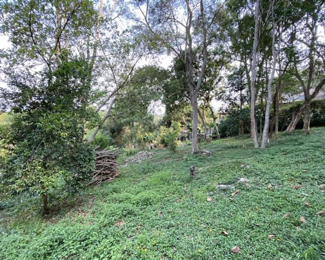 Terreno à venda - Foto 4