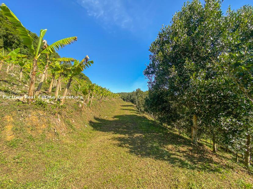 Fazenda à venda com 1 quarto, 2750000m² - Foto 6