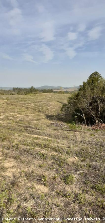 Loteamento e Condomínio à venda, 50000m² - Foto 13