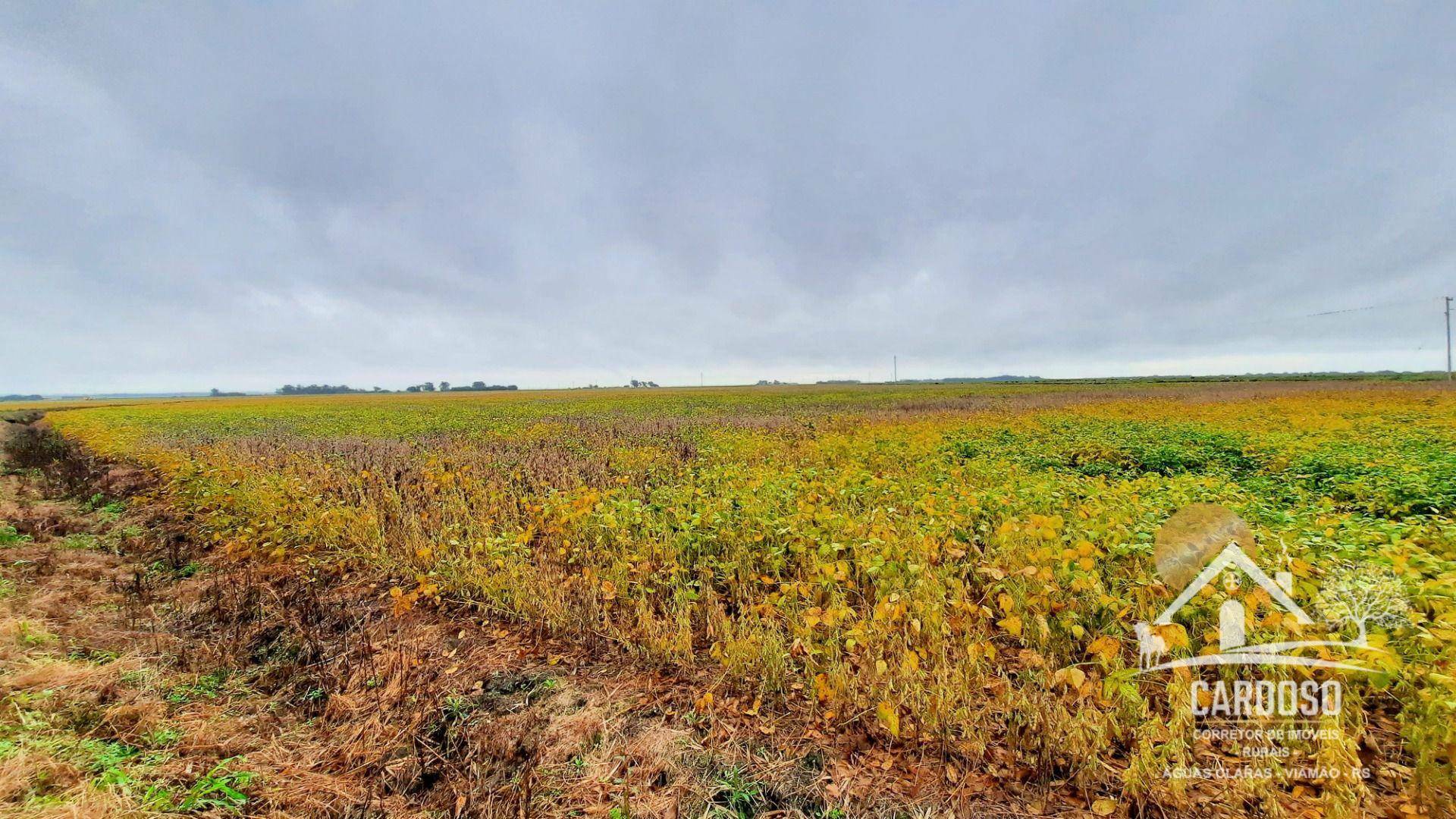 Fazenda à venda, 1830000M2 - Foto 2