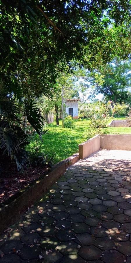 Fazenda à venda com 3 quartos, 2500m² - Foto 22