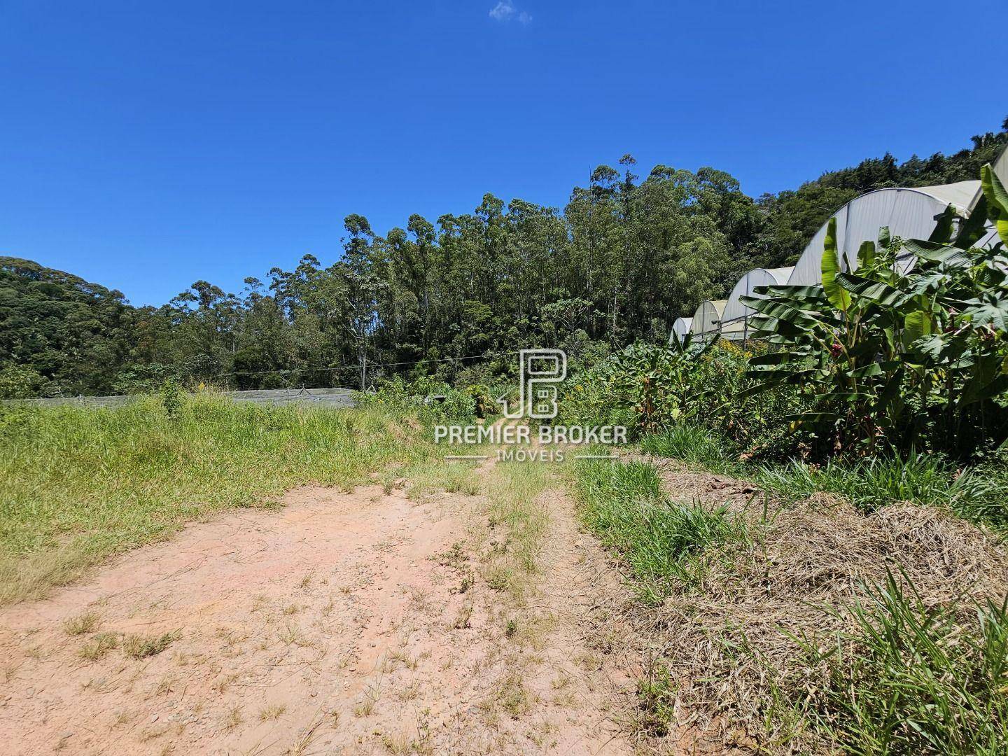 Sítio à venda com 5 quartos, 2500m² - Foto 20
