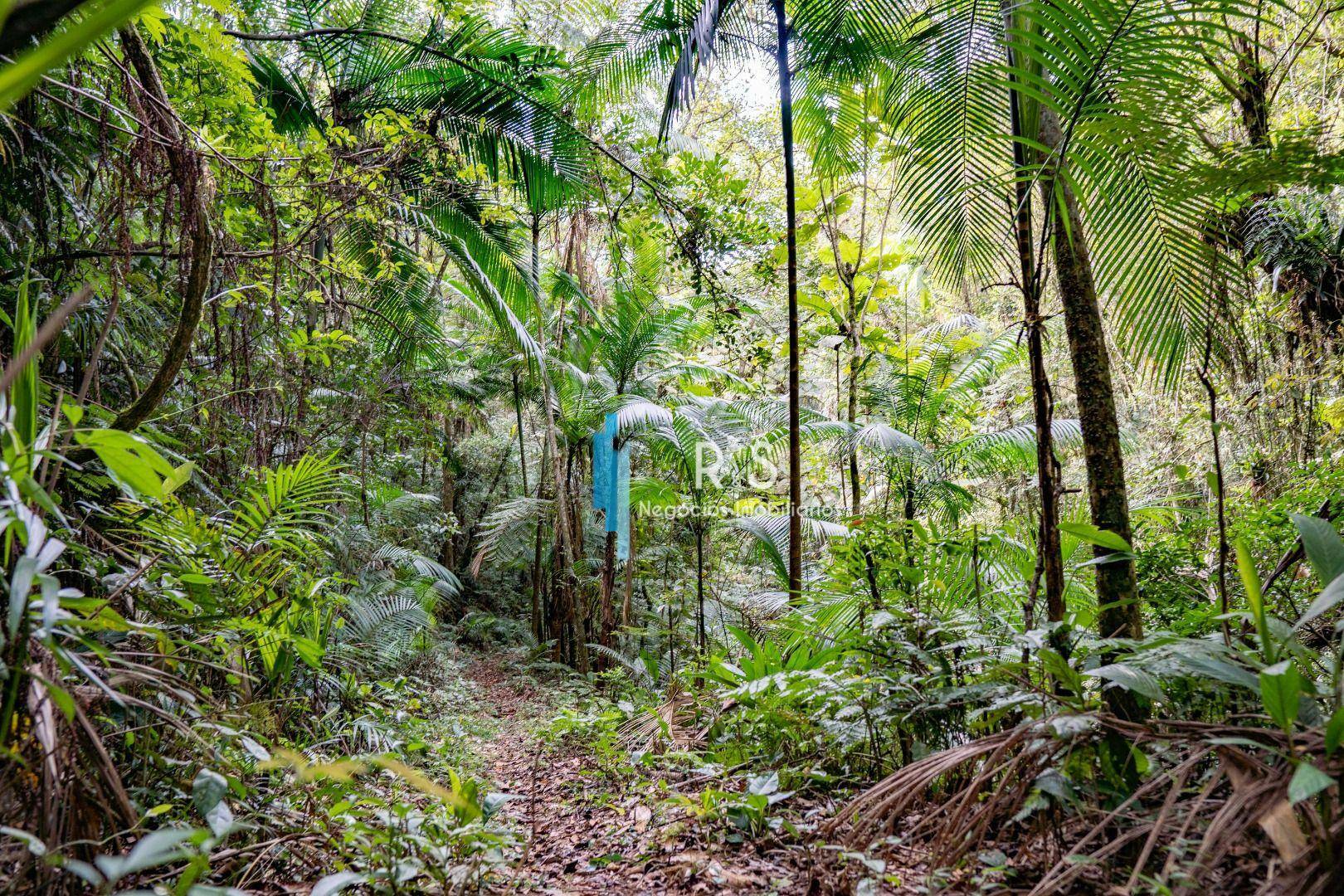 Sítio à venda com 6 quartos, 847000M2 - Foto 24