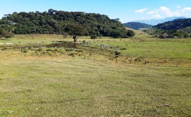 Fazenda à venda com 2 quartos, 270000m² - Foto 19