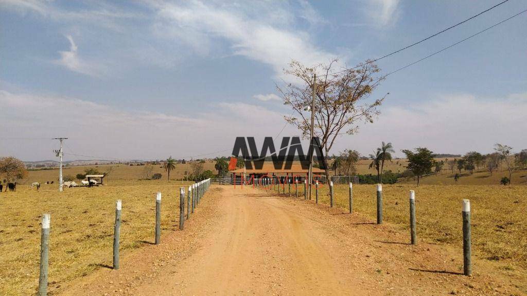 Fazenda à venda, 726000M2 - Foto 12