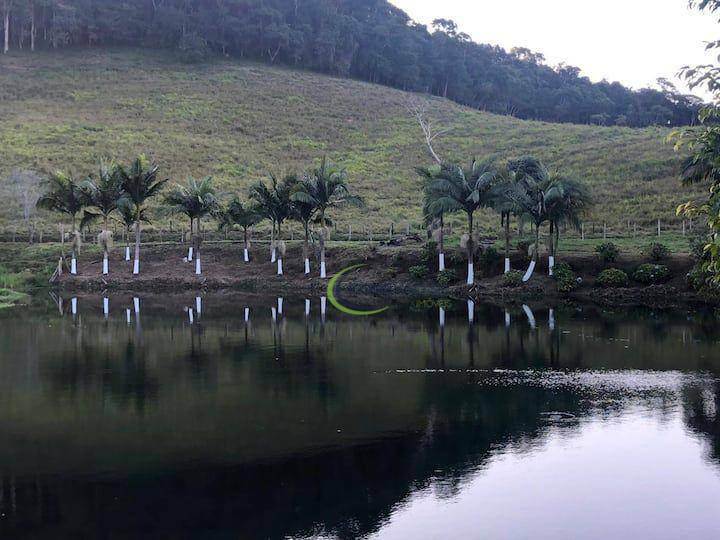 Fazenda à venda com 3 quartos, 1080000M2 - Foto 12