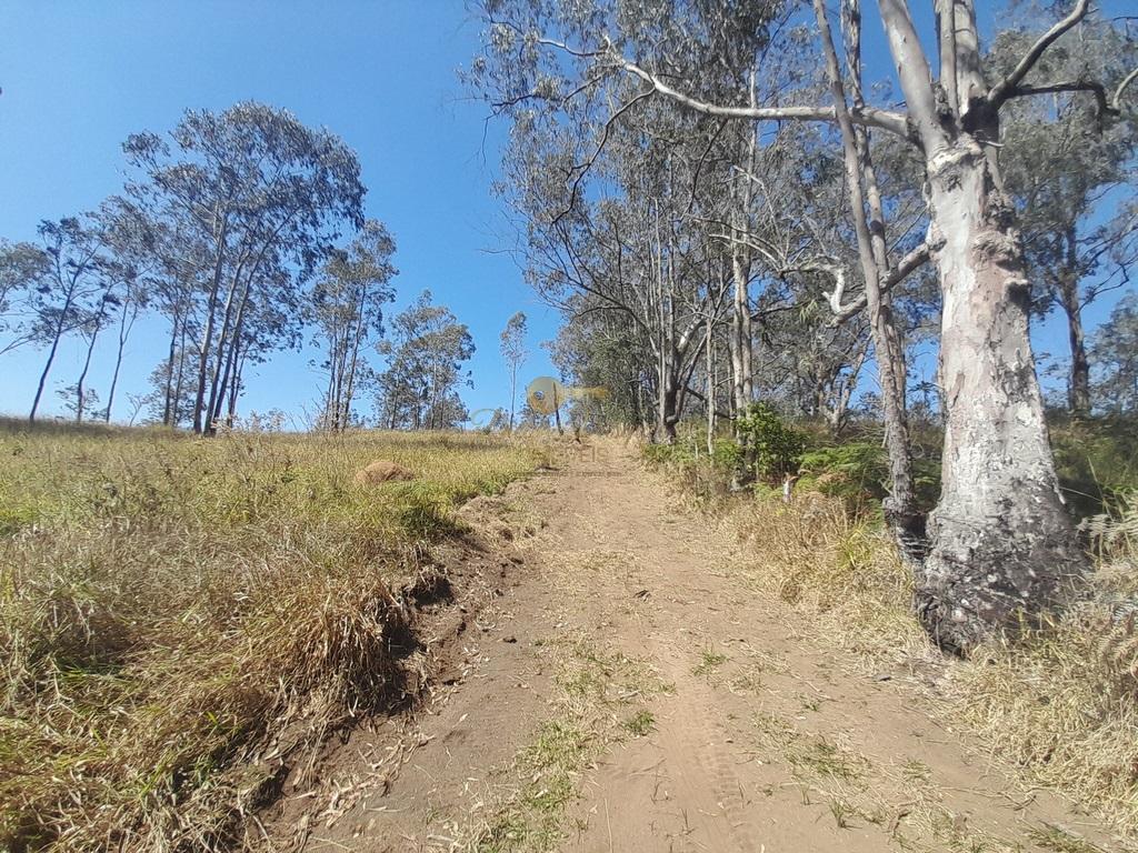 Fazenda à venda com 6 quartos, 387200m² - Foto 15