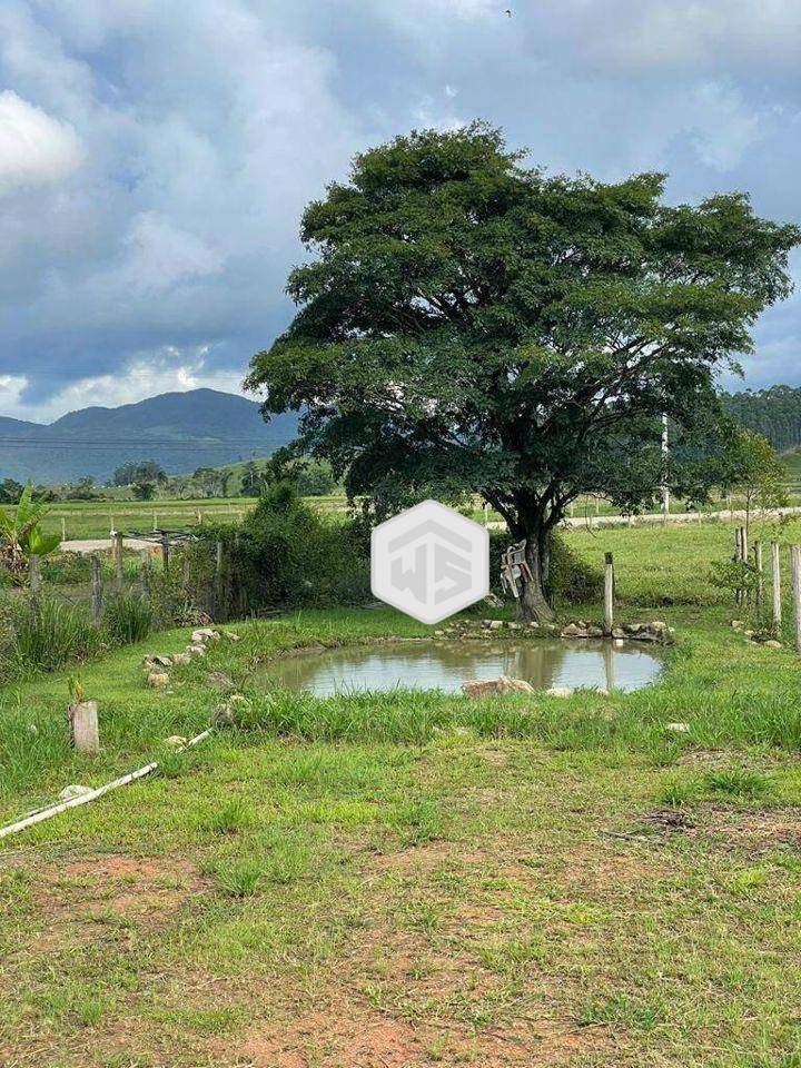 Chácara, 2 quartos, 800 m² - Foto 3