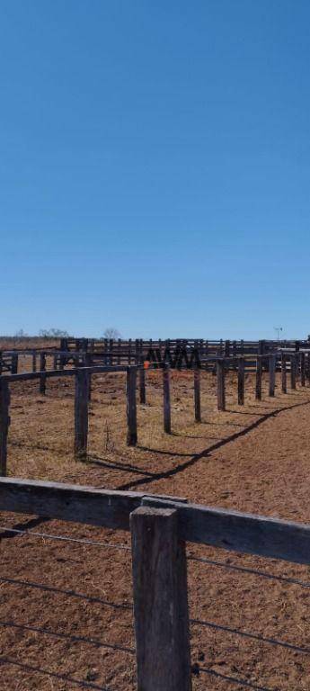 Fazenda à venda, 11567600M2 - Foto 17