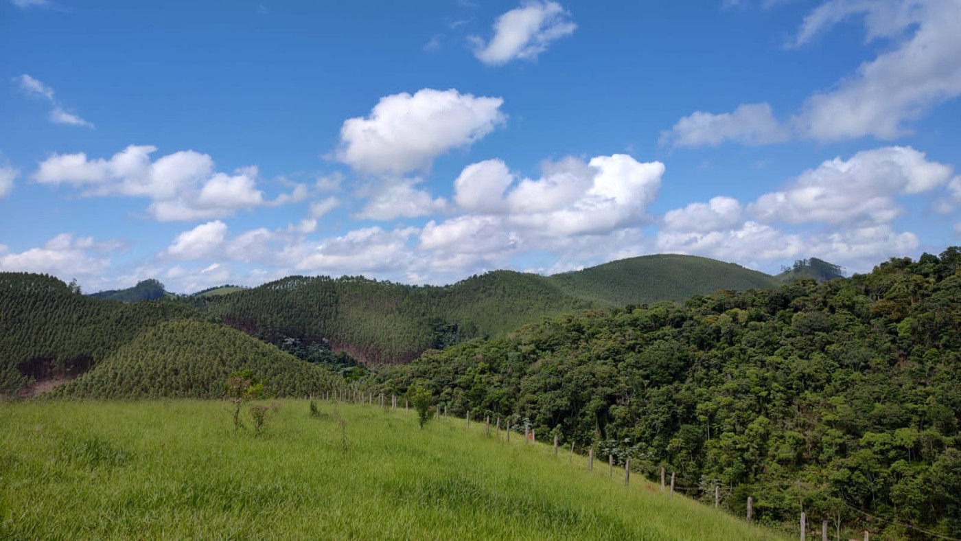 Terreno, 7 hectares - Foto 20