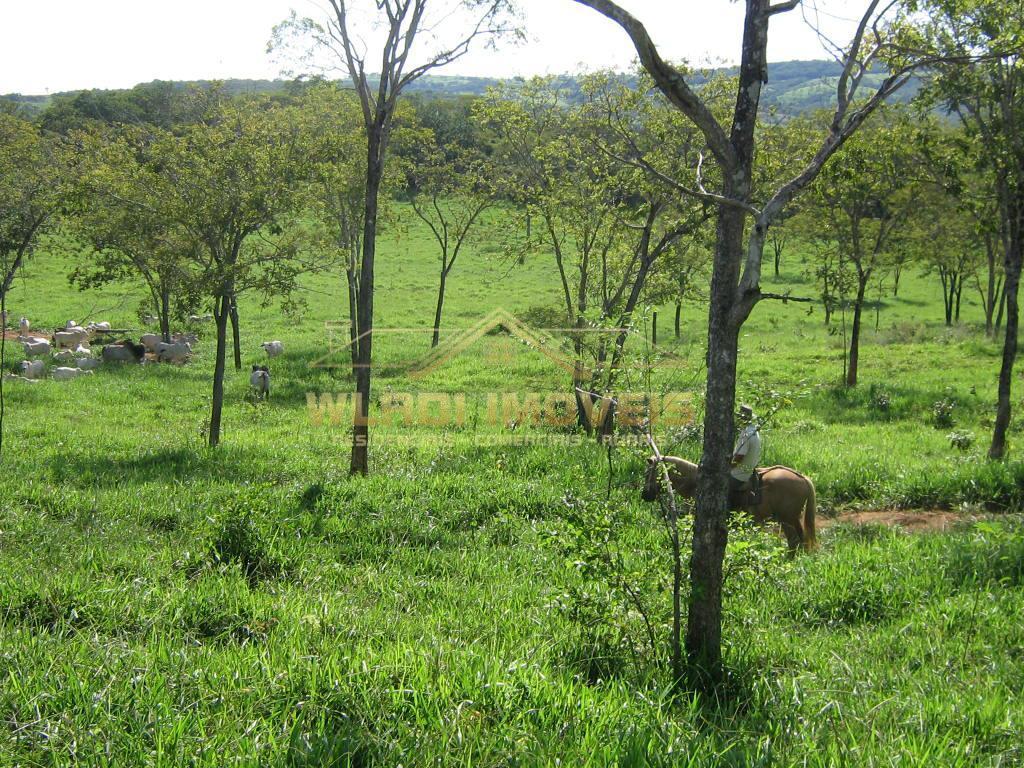 Fazenda à venda, 1270m² - Foto 3