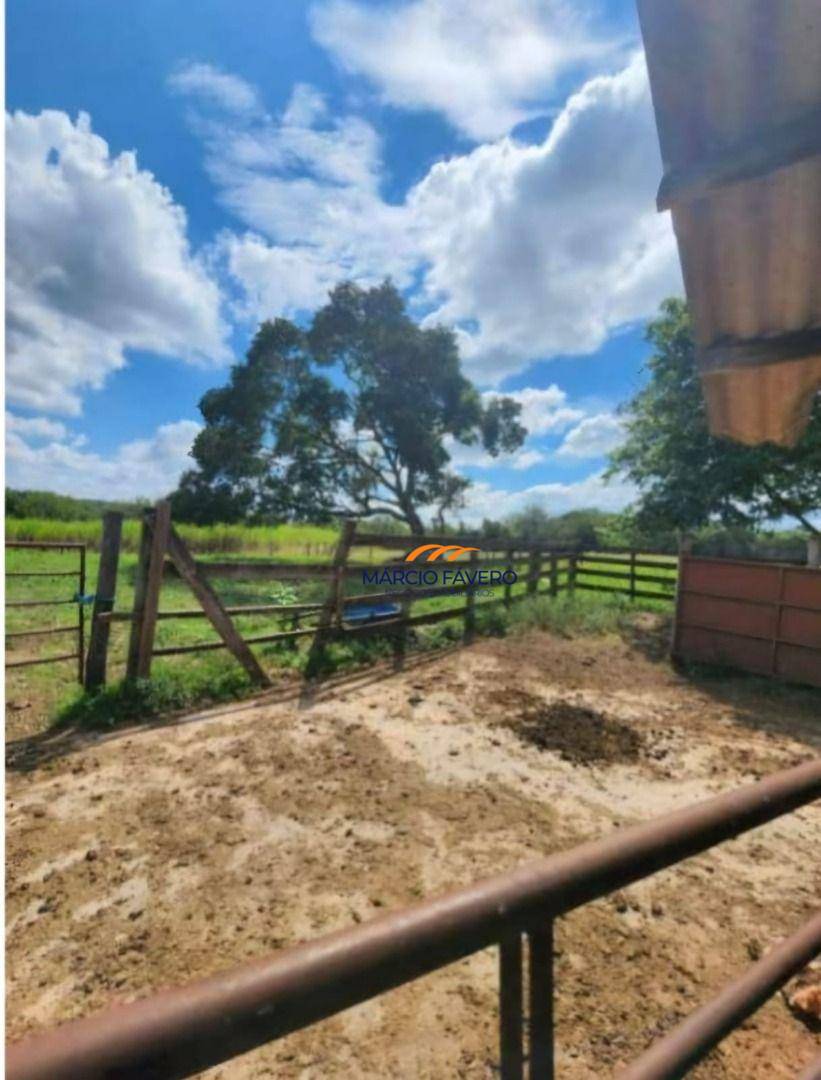 Fazenda, 109 hectares - Foto 8