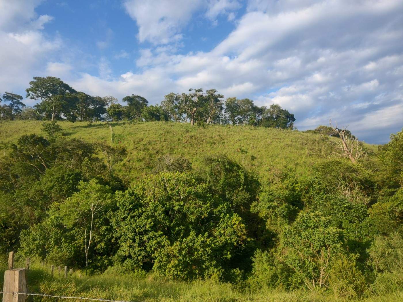 Sítio, 24 m² - Foto 27