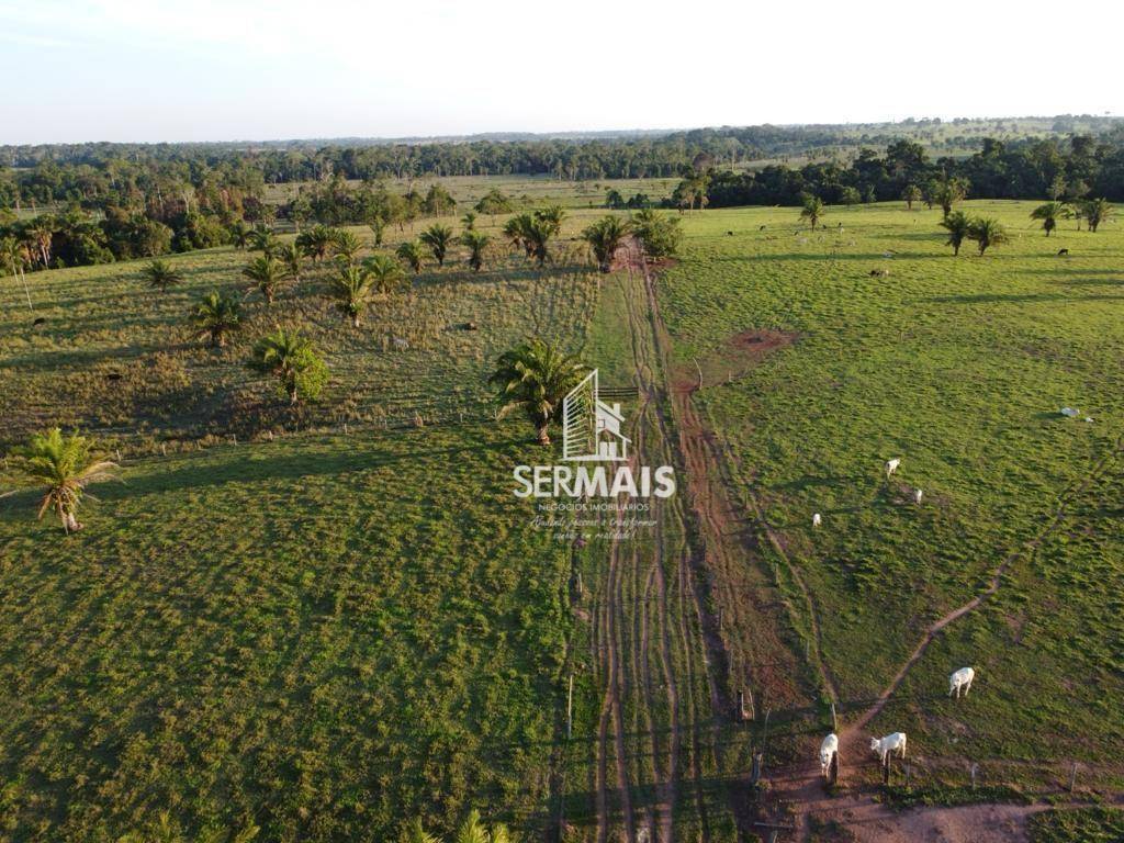 Fazenda-Sítio-Chácara, 97 hectares - Foto 1