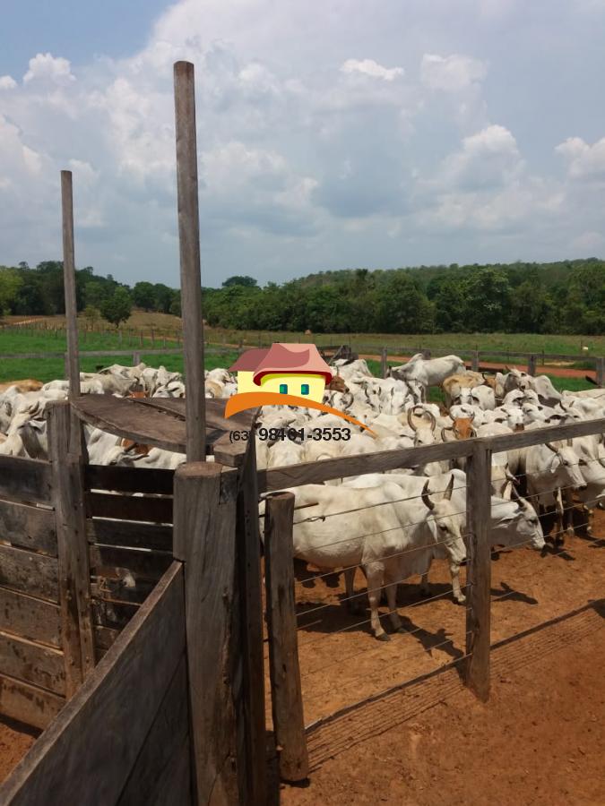 Fazenda à venda, 1496m² - Foto 15