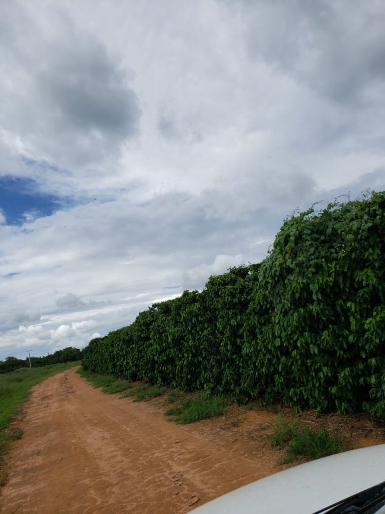 Fazenda à venda, 672m² - Foto 2