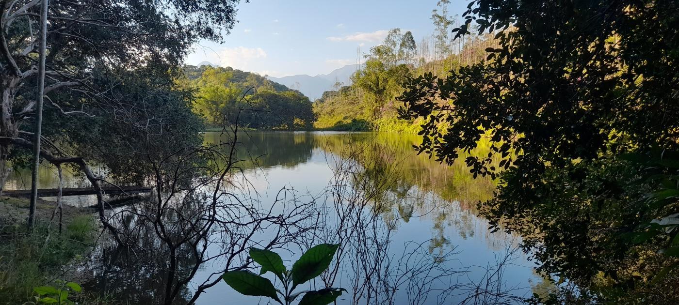 Fazenda à venda com 4 quartos, 200000m² - Foto 31