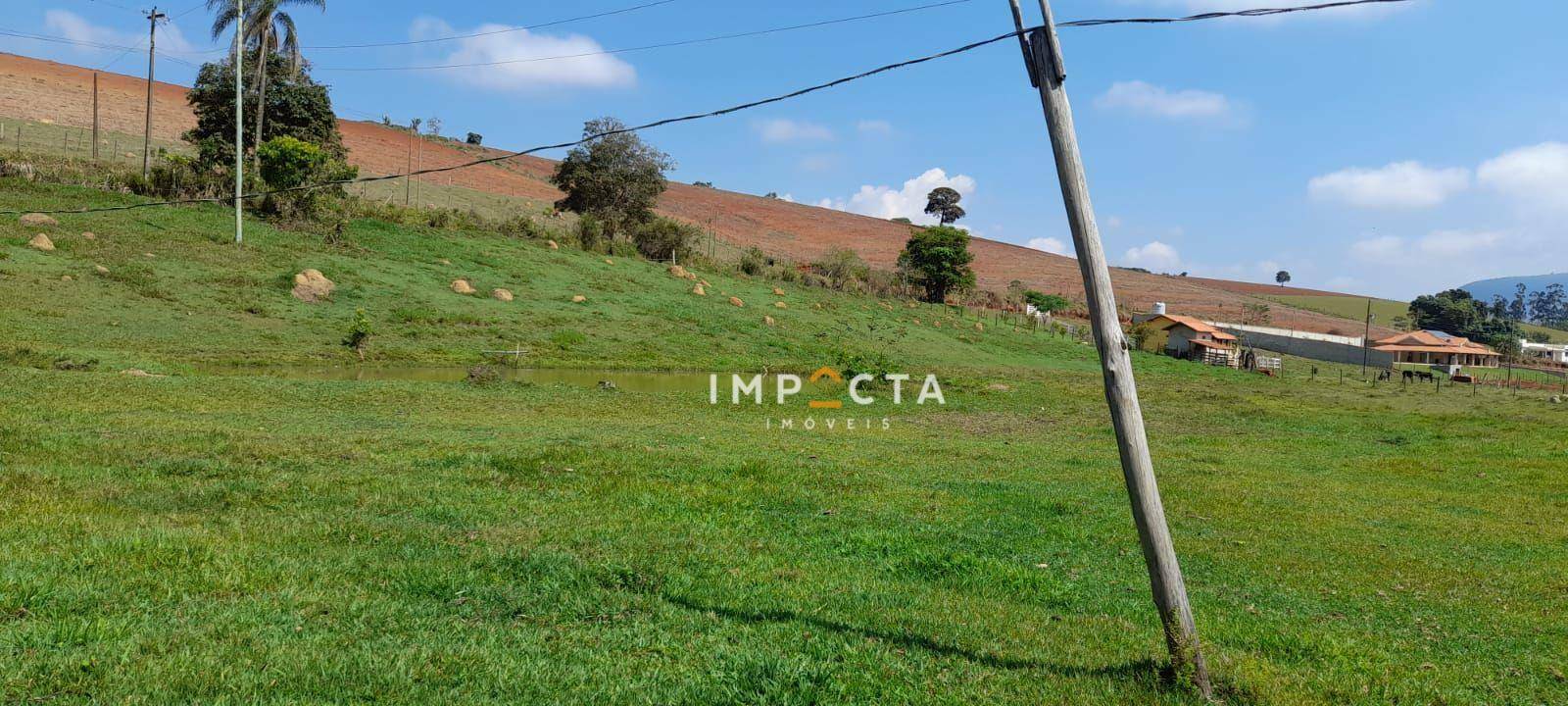 Chácara à venda com 3 quartos, 12000M2 - Foto 9
