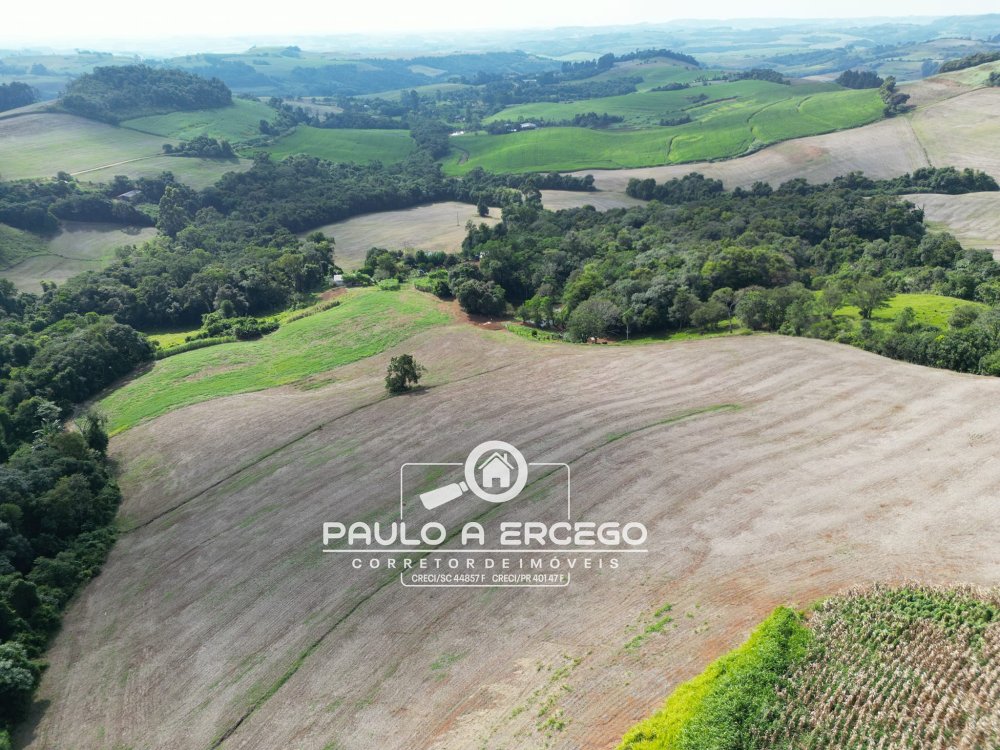 Sítio, 41 hectares - Foto 2