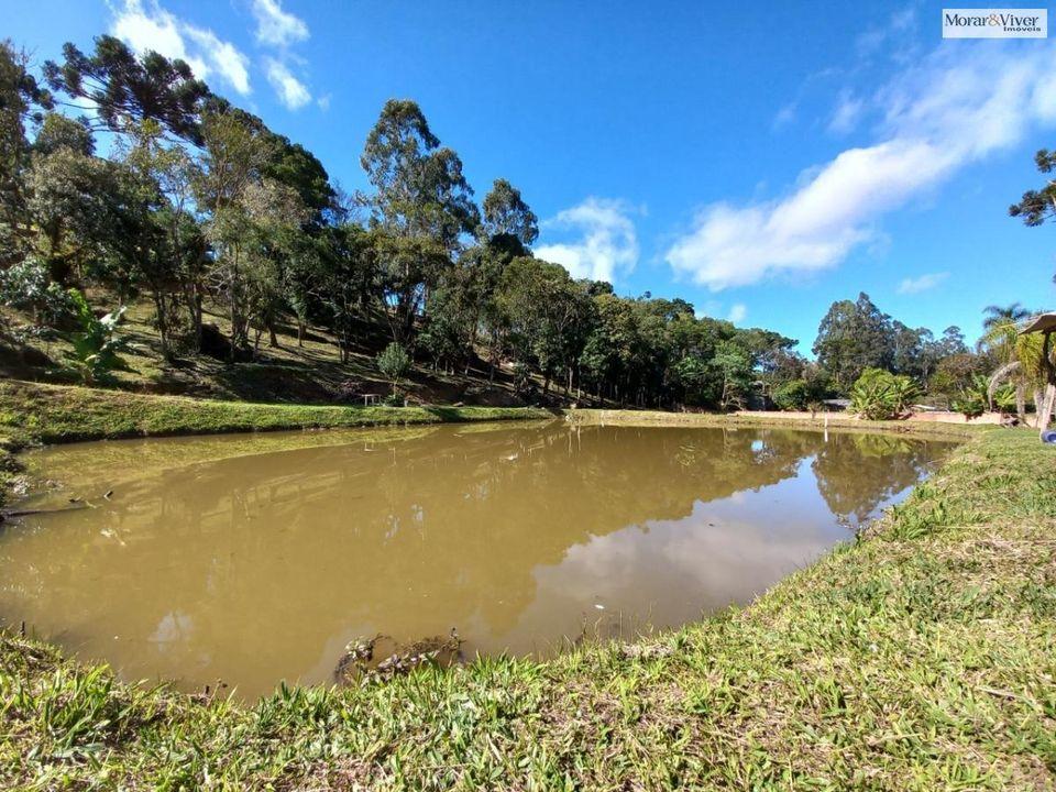 Fazenda à venda, 8000m² - Foto 6