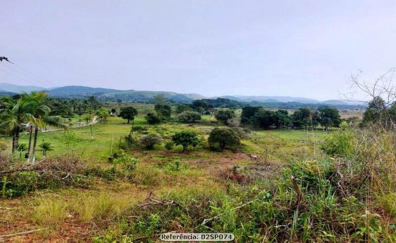 Fazenda à venda com 3 quartos, 41000m² - Foto 2