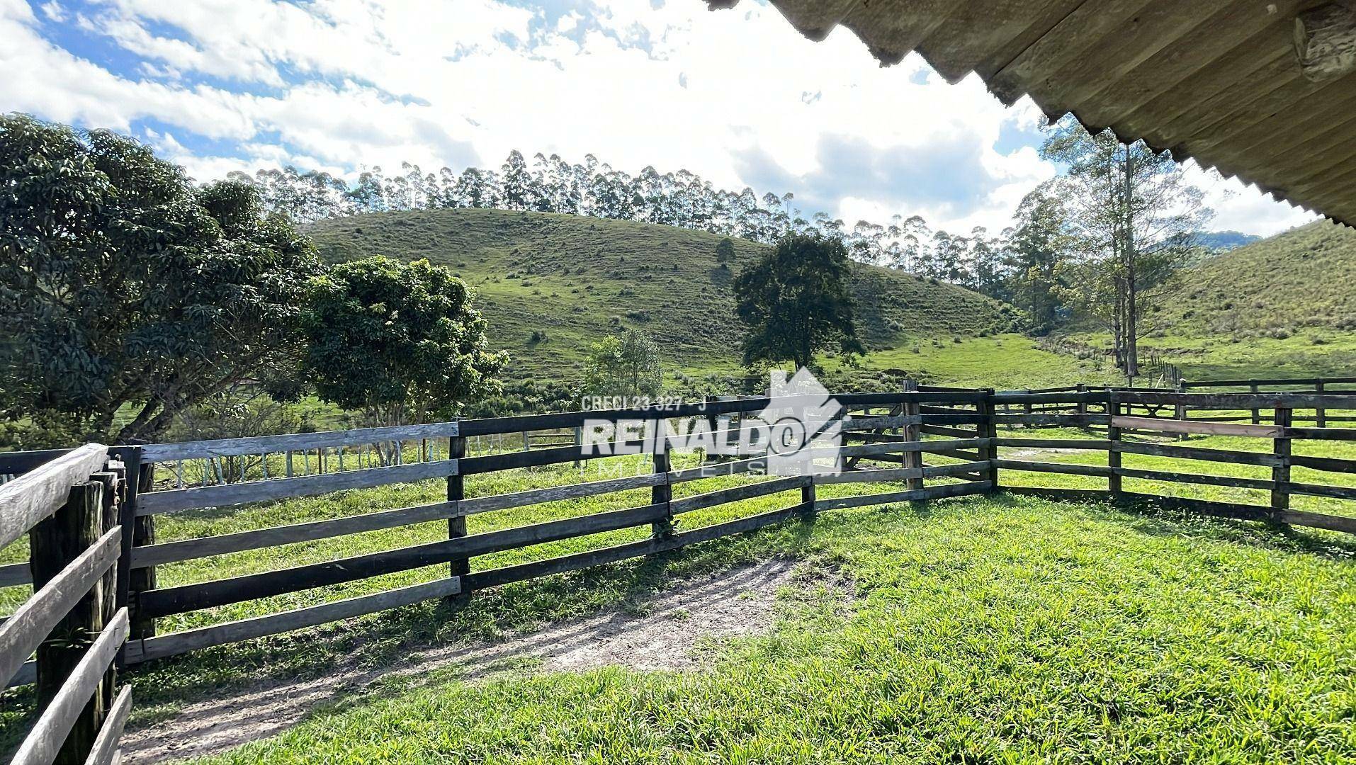 Fazenda à venda com 8 quartos, 900m² - Foto 63