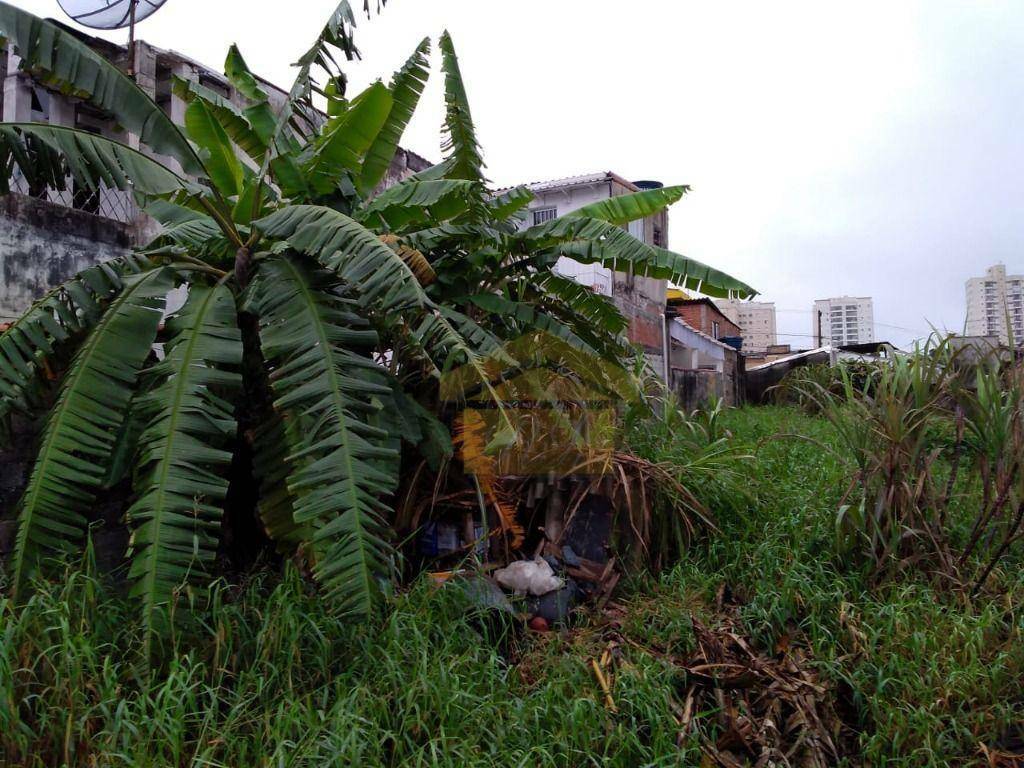 Terreno à venda, 350M2 - Foto 5