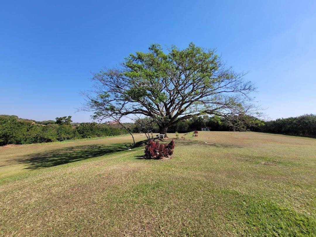 Chácara à venda com 4 quartos, 1000m² - Foto 80